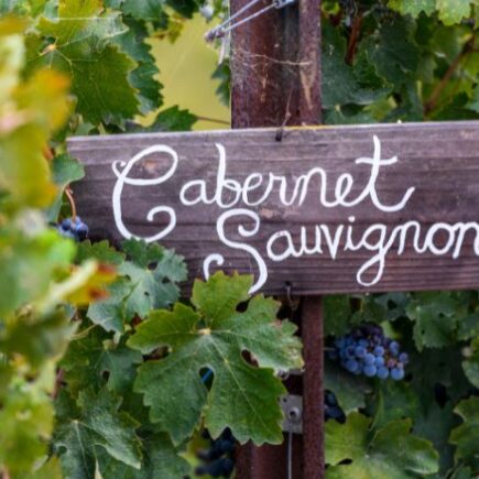 Cabernet sauvignon